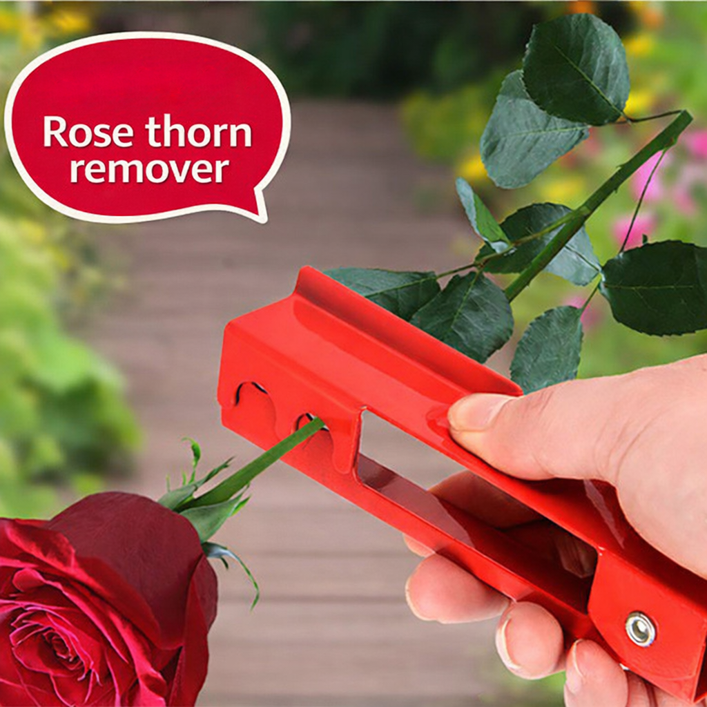Rose thorn remover